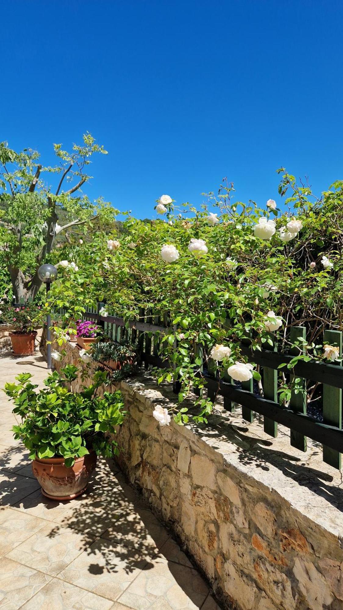 Willa Trullo Grande Noce Ostuni Zewnętrze zdjęcie